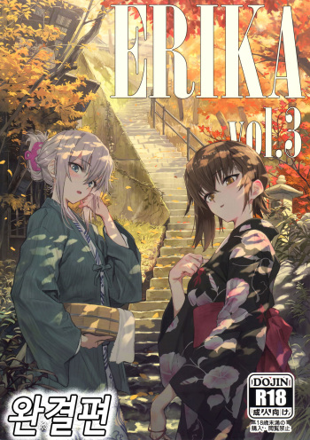 ERIKA Vol. 3 cover