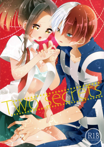 Two secrets cover