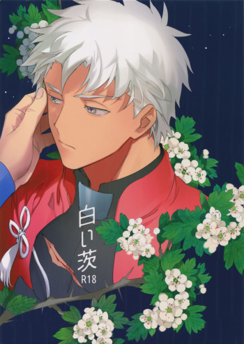 Shiroi Ibara cover