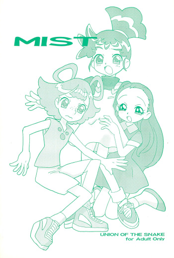 MIST cover