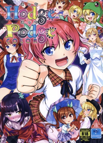 Hodge Podge cover