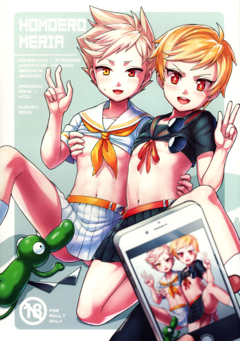HOMOEROMERIA cover