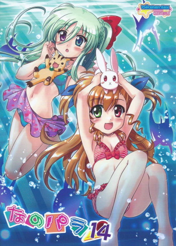 Nano-para 14 cover