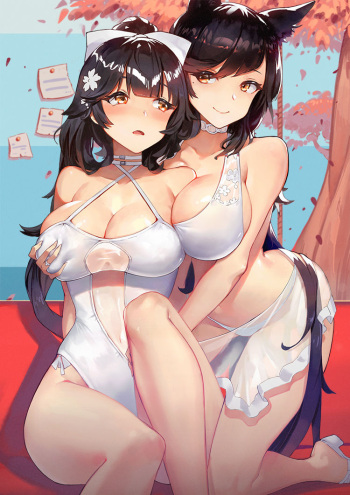 Cheese Pan cover