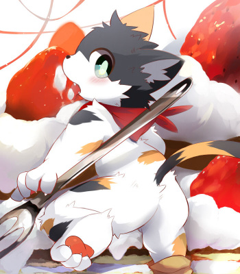 Nekojitakagu cover