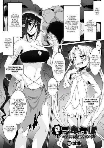 Mori no Shikitari ~Elf Doushi no Kon Kurabe~ cover