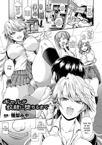 Gal ga Dorei ni Ochiru made cover