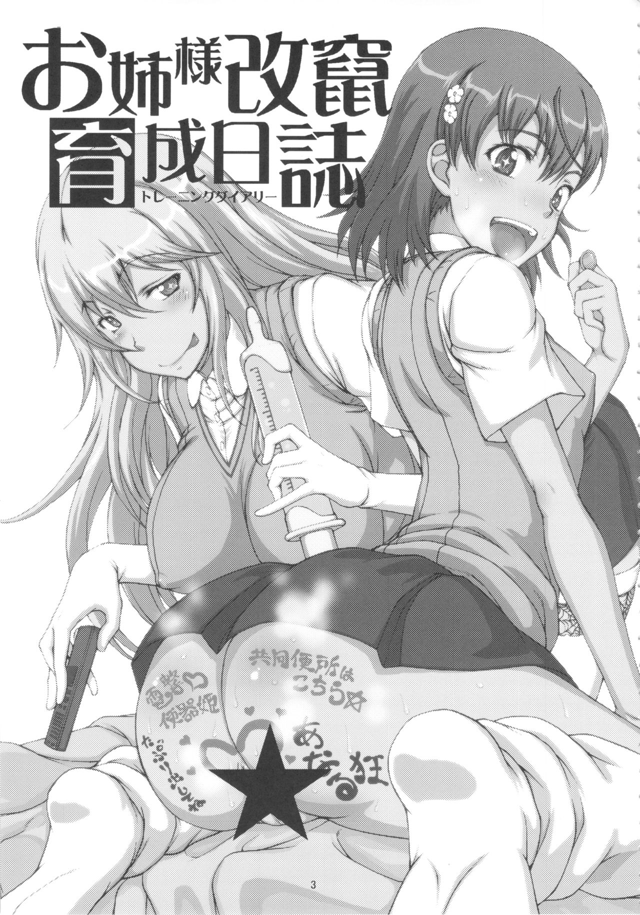Oneesama Kaizan Training Diary page 2 full