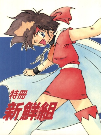 Tokusatsu Shinsengumi cover
