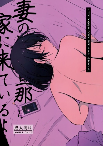 Tsuma no Imouto no Danna ga Ie ni Kite iru you desu. | 아내의 여동생의 남편이 집에 와있는 모양입니다. cover