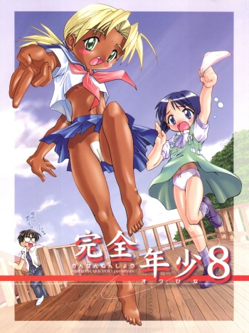 Kanzen Nenshou 8 cover