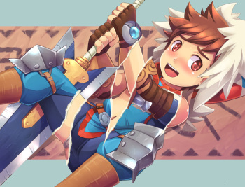 Lute set cover