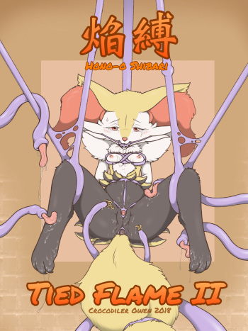 Tied Flame II cover