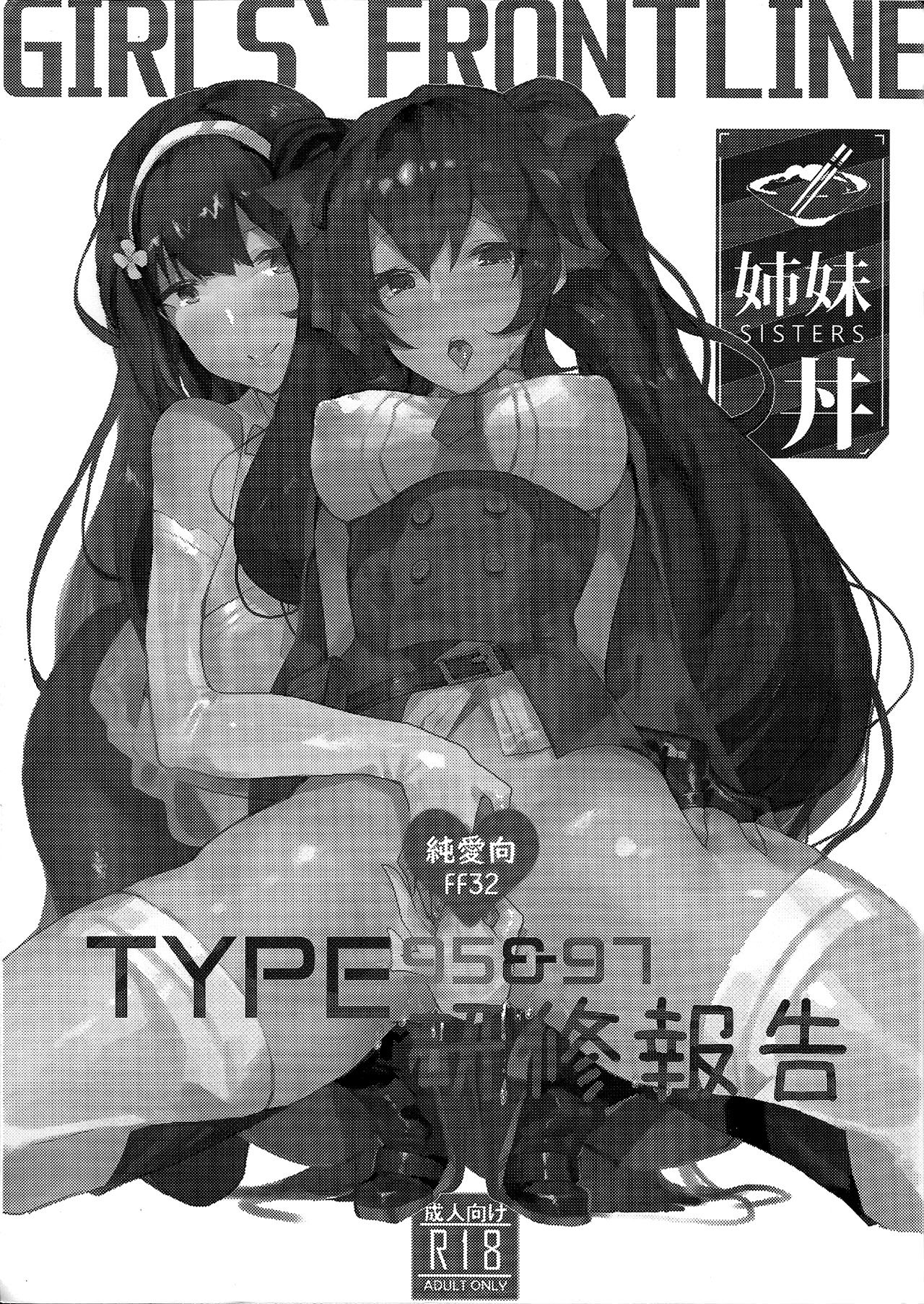 TYPE95&amp;97 Maintenance Report page 2 full