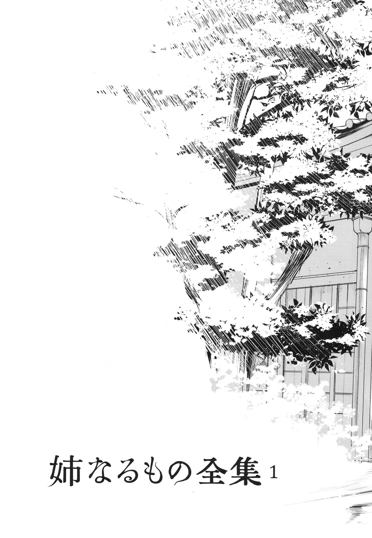 Ane Naru Mono Zenshuu 1 page 4 full