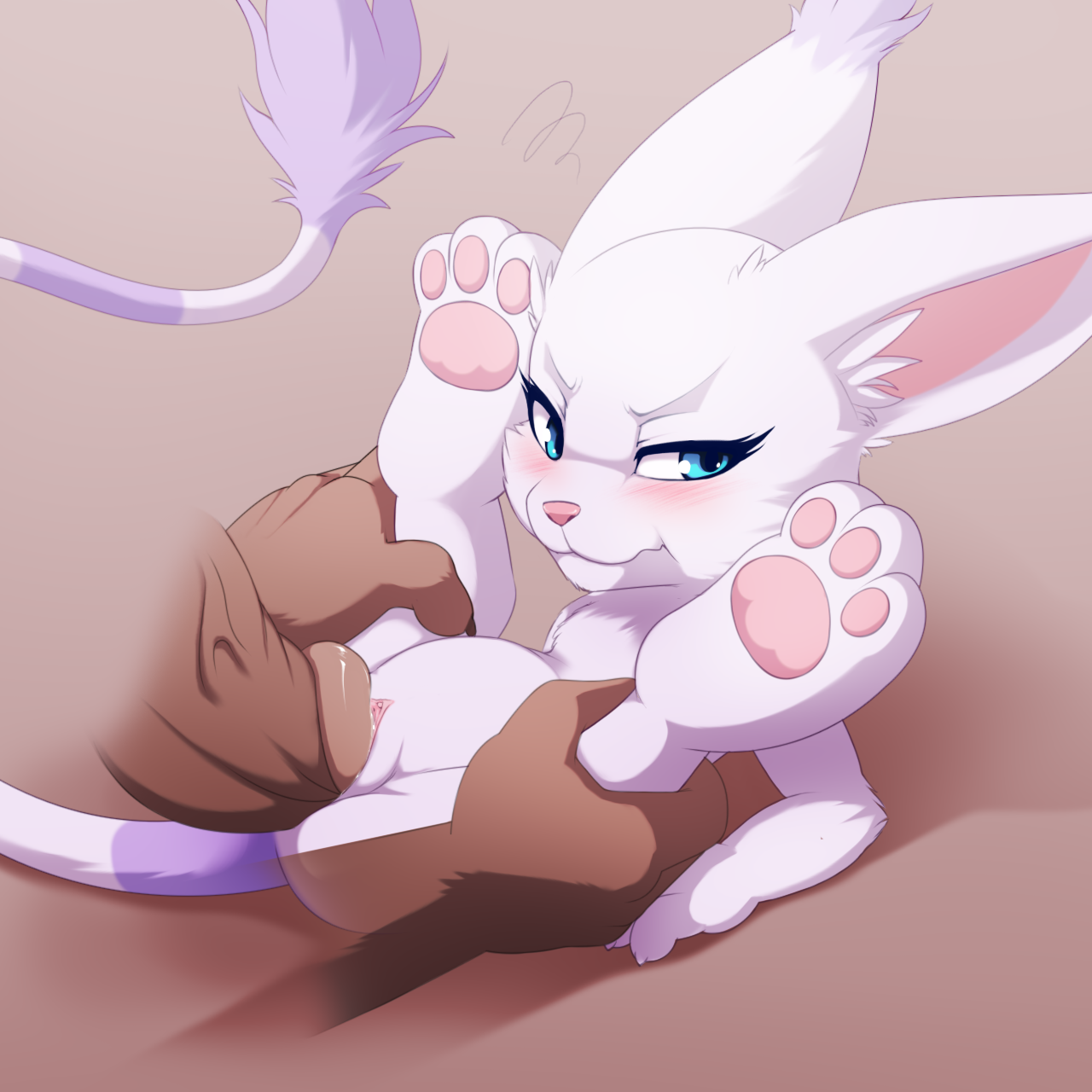 Gato Set page 1 full