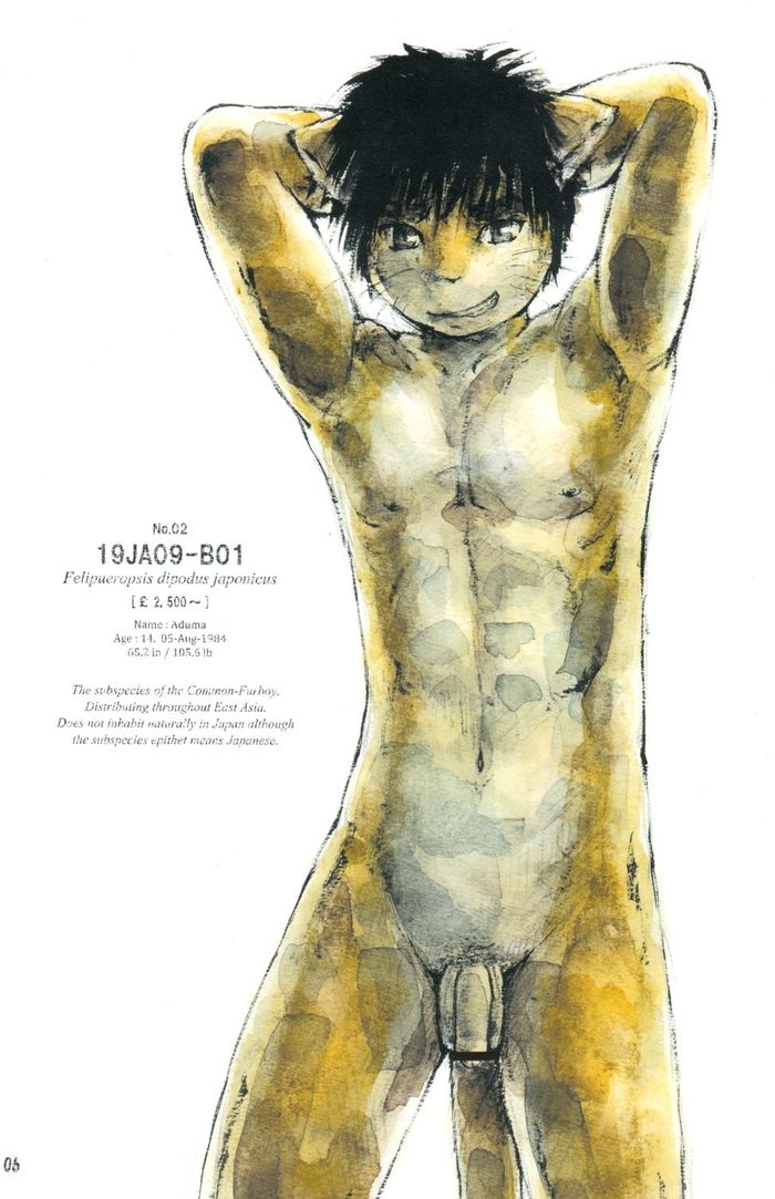The Catalogue of 20 Furboys page 6 full