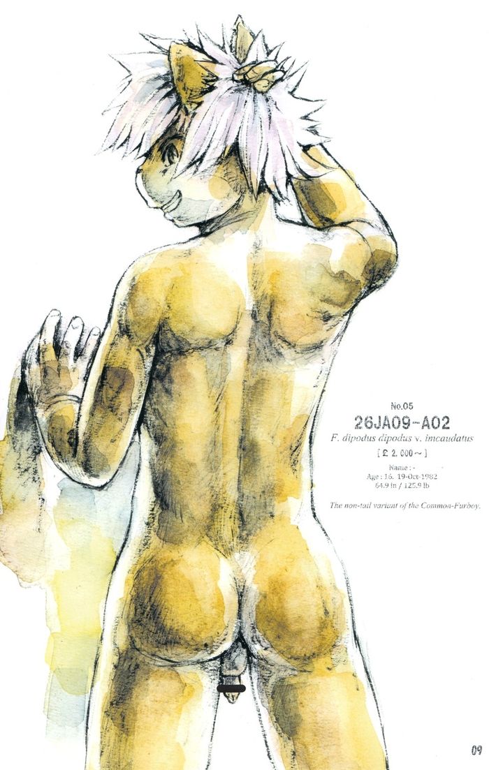 The Catalogue of 20 Furboys page 9 full