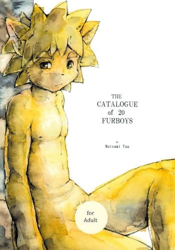 The Catalogue of 20 Furboys cover