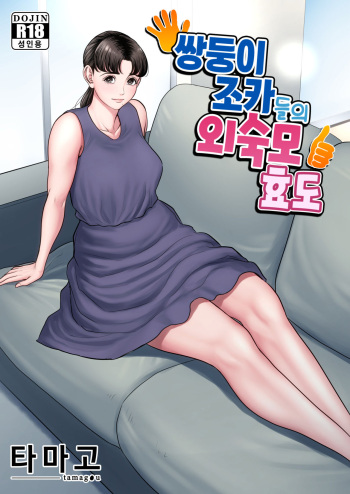 Futago no Oi no Oba Koukou | 쌍둥이 조카들의 외숙모 효도 cover