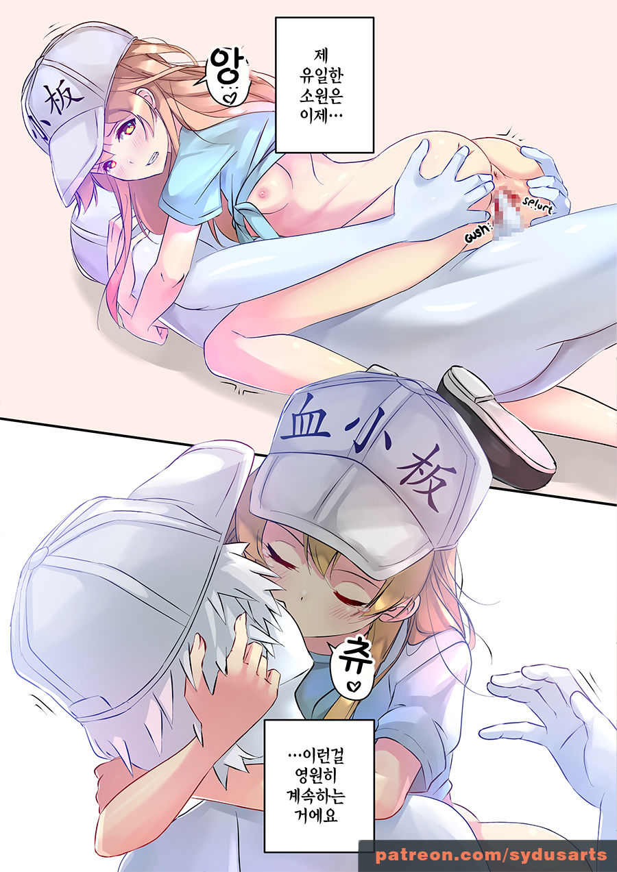 When Platelets Reach Adulthood | 혈소판이 어른이 되었을 때 page 4 full