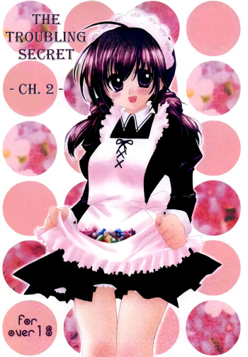 Tobikiri no Himitsu 2 | The troubling secret 2 cover