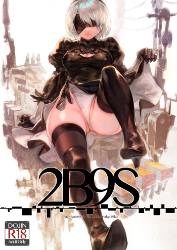 2B9S cover