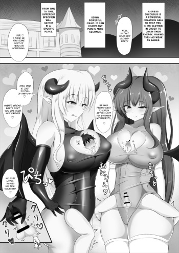 Succubus Goudoushi cover