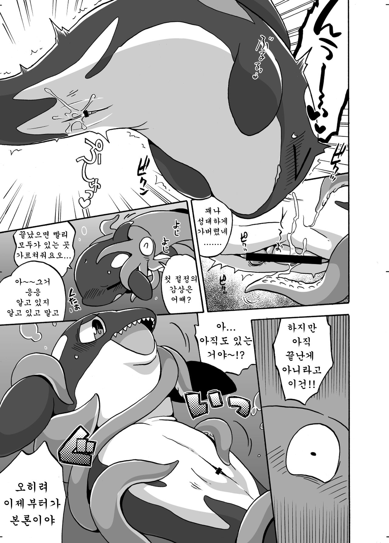 Shachi Ero wa Ikaga!? | 범고래 에로는 어떠신징어!? page 6 full