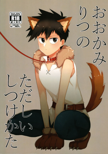 Ookami Ritsu no Tadashii Shitsukekata cover