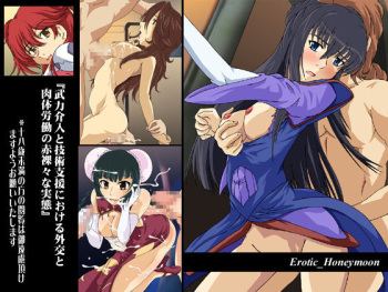 Buryoku Kainyu to Gijutsu Shien ni Okeru Gaikou to Nikutai Roudou no Sekirarana Jittai cover
