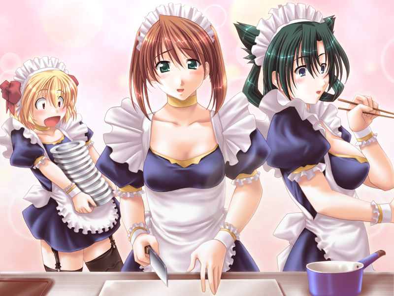 Maid Shikou ~ Chijoku no Yakata ~ page 3 full