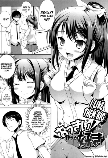 Okkii Hou ga Suki | I like them big cover