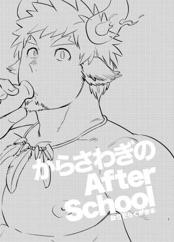 Kara Sawagi no After School cover