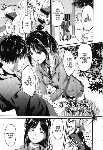 Boku wa Imouto ni Yowami o Nigirareteiru cover