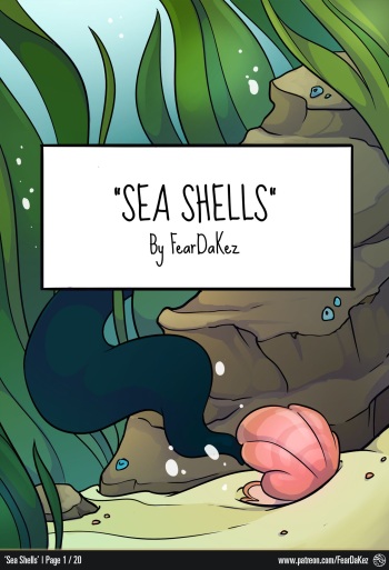 Seashells cover