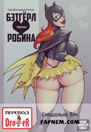 Ruined Gotham: Batgirl Loves Robin cover