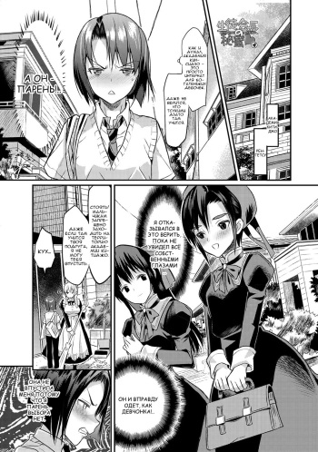 Seitokaichou no Himitsu 4 cover