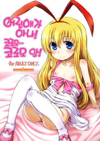 Kodomo janai yo! Koromo-cha... Koromo-san! | 어린애가 아냐! 코로모... 코로모 양! cover