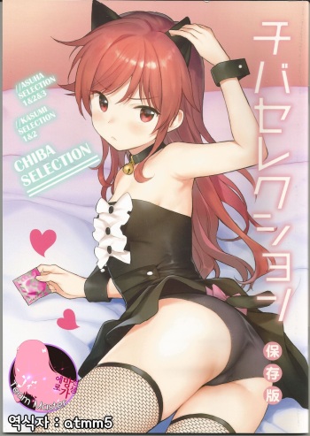 Chiba Selection Hozonban cover