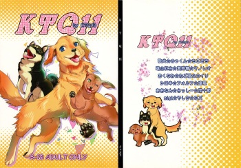 KTQ 11 cover