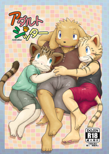 Adult Sitter cover
