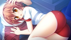 Hanasaki Work Spring! - BugBug Append Patch "Onii-chan to Nonoka no Himitsu no Hokentaiiku"