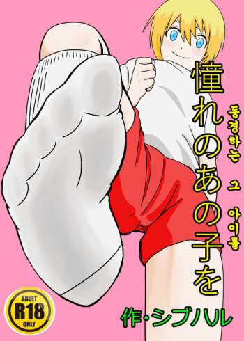 Akogare no Anoko o cover