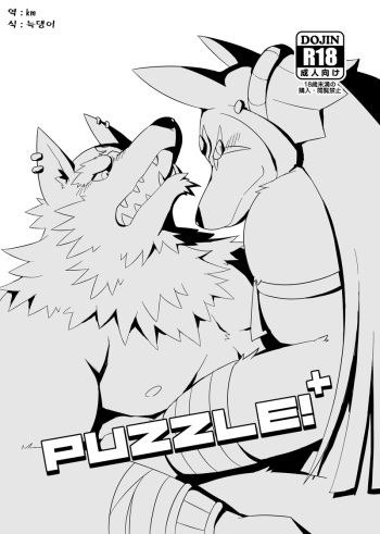 Puzzle!+ cover