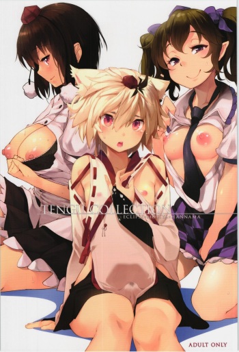 TENGU COLLECTION cover