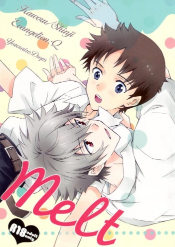 Melt cover