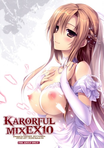 KARORFUL MIX EX10 cover