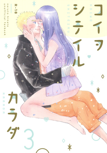 Koiwo Shiteiru Karada 3 cover