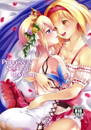Princess is Seeking Unknown cover
